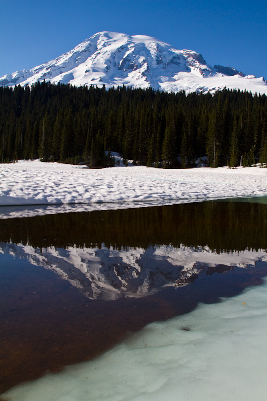 Mount Rainier Reflected In Thawing Reflection Lake